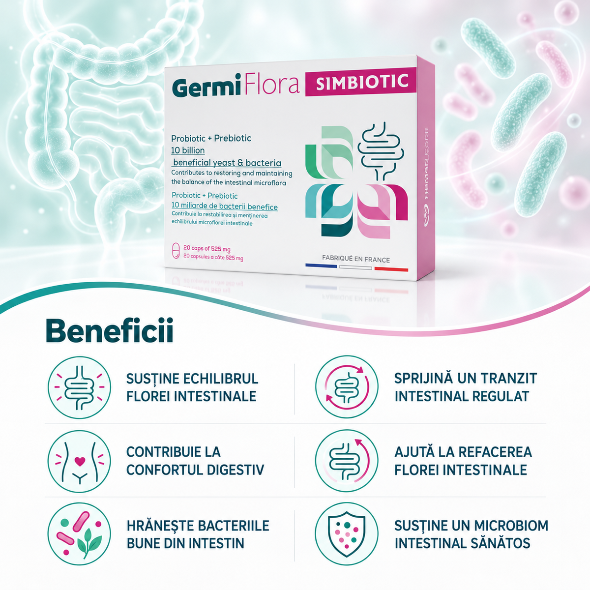Supliment Alimentar Prebiotic + Probiotic GermiFlora Adulti, 10 Miliarde CFU, Sustine Echilibrul Florei Intestinale după Antibiotice