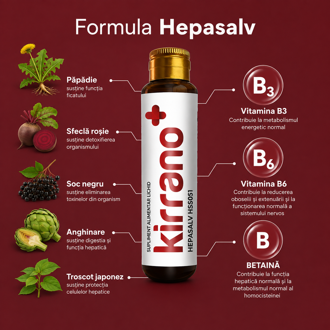 HEPASALV, 10 shoturi x 15 ml
