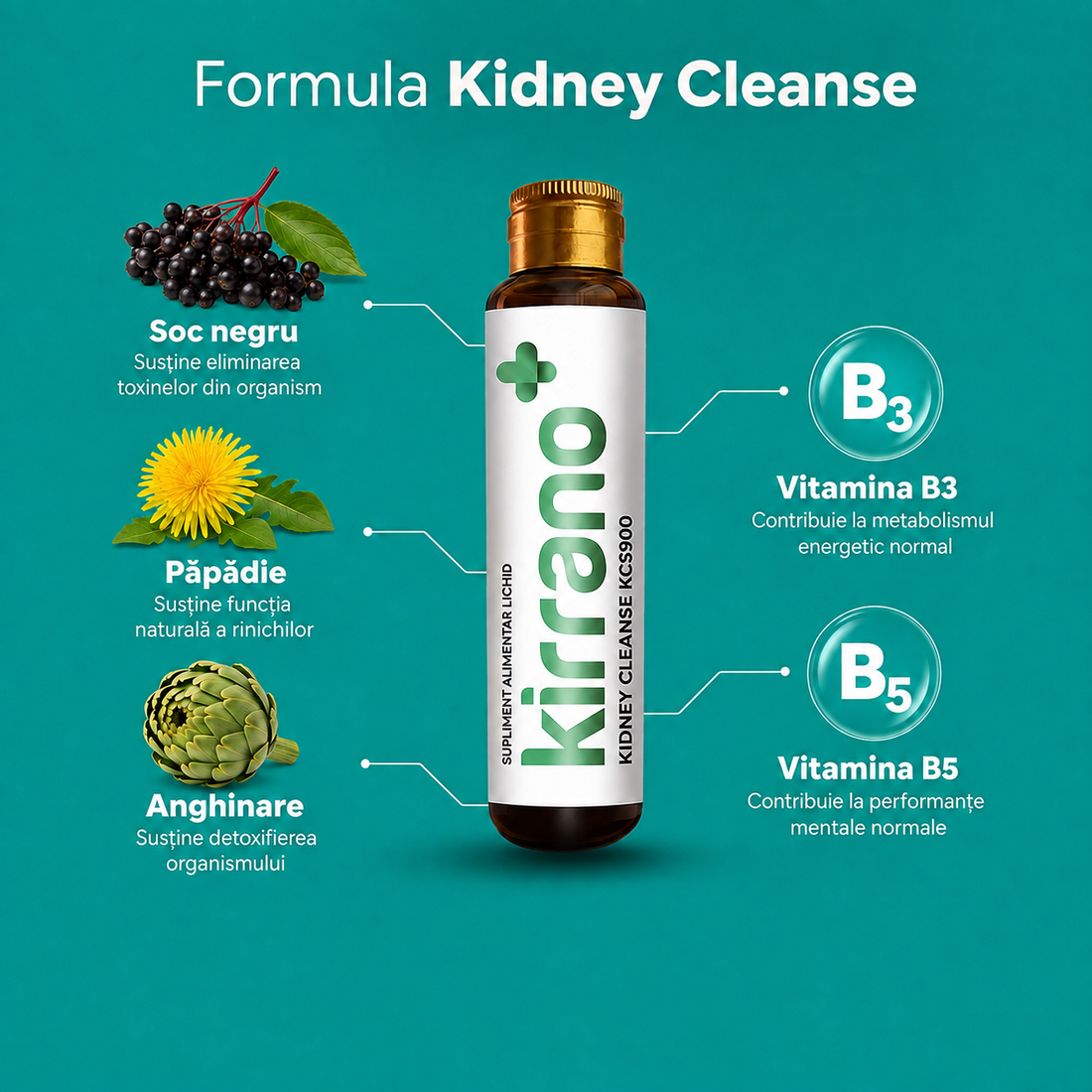 KIDNEY CLEANSE, 10 shoturi x 15 ml