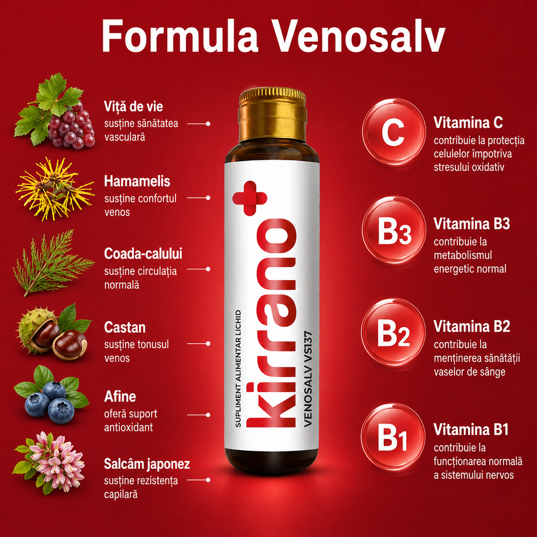 VENOSALV, 10 shoturi x 15 ml